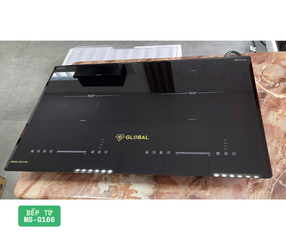 Hướng dẫn sử dụng bếp từ MS G-166